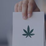 Starting a cannabis company